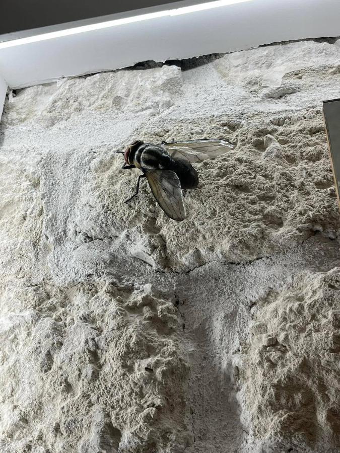 פלרמו I Bastioni Apartment מראה חיצוני תמונה